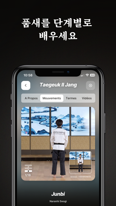 TKD Wiki World 포스터