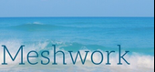 Meshwork Logo