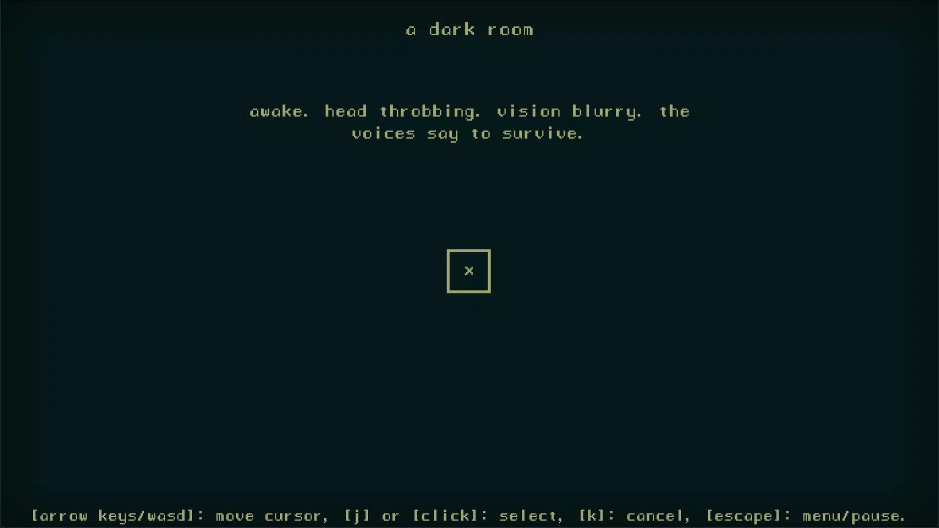 Dark Room ®