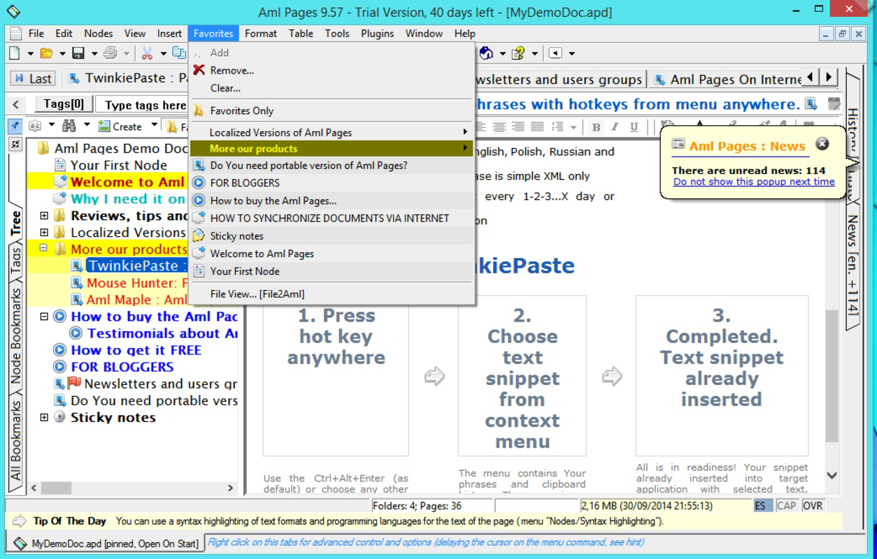 Download Aml Pages Latest 3.14 for Windows PC