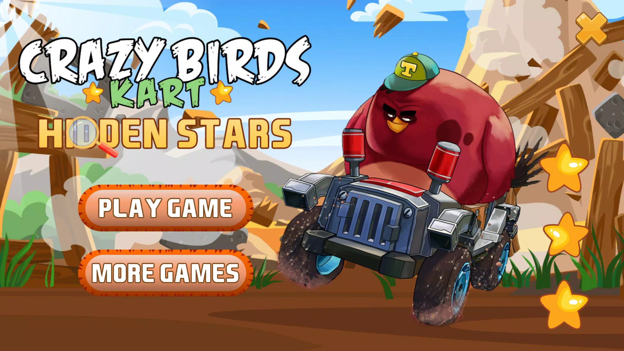 Crazy Birds Kart Hidden Objects