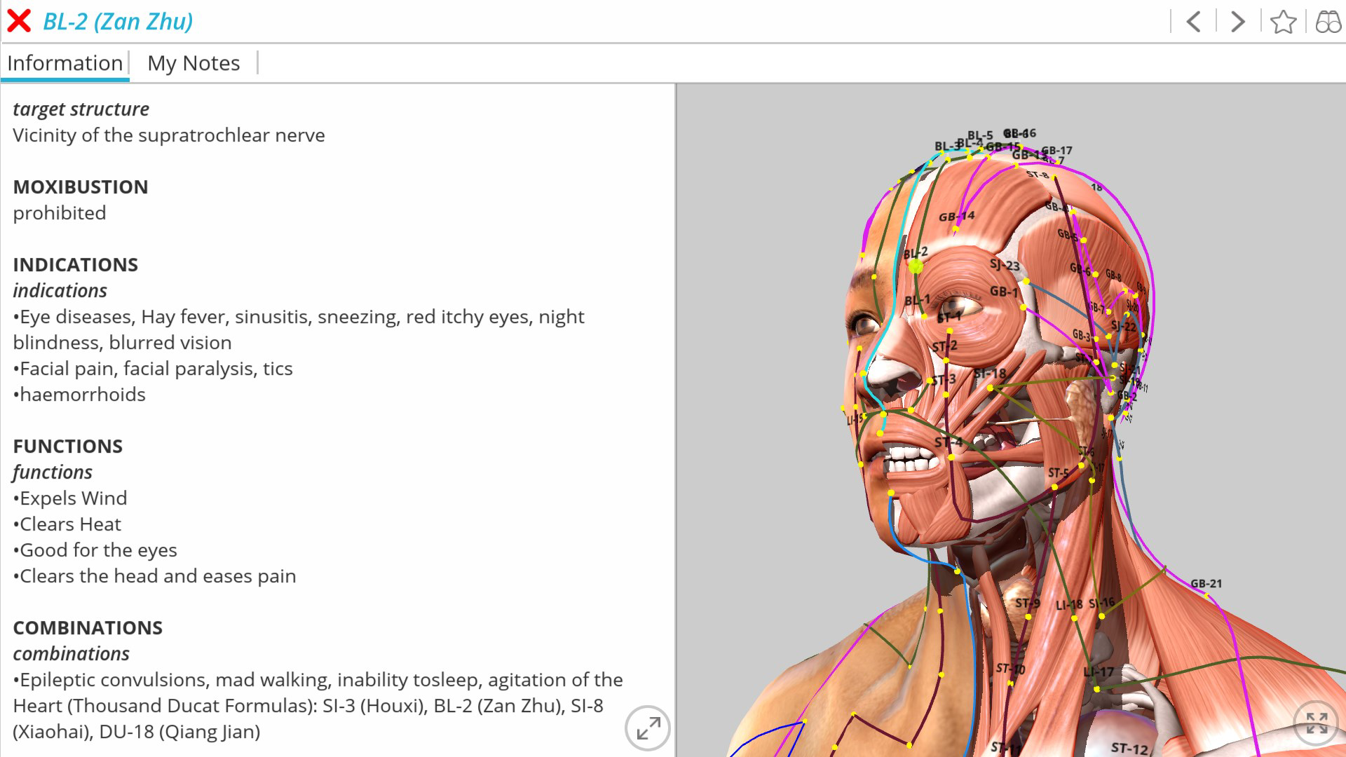 Visual Acupuncture 3D - Human