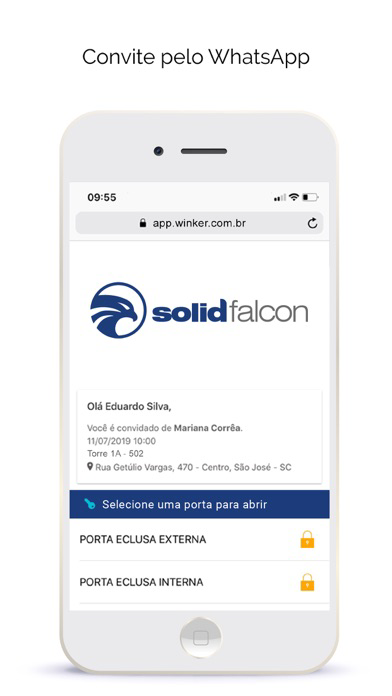Solid Falcon poster