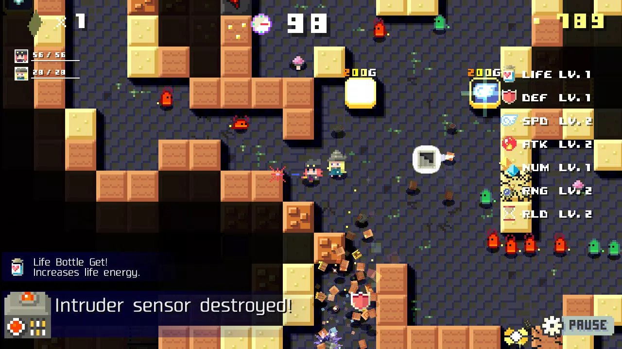 DUNGEON RAZE