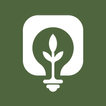 BRight: Positive Eco Impact
