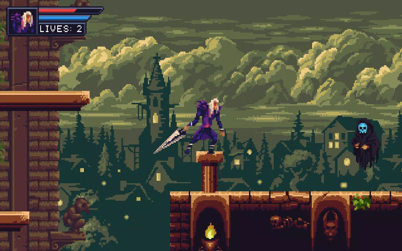 Ninja Unleashed