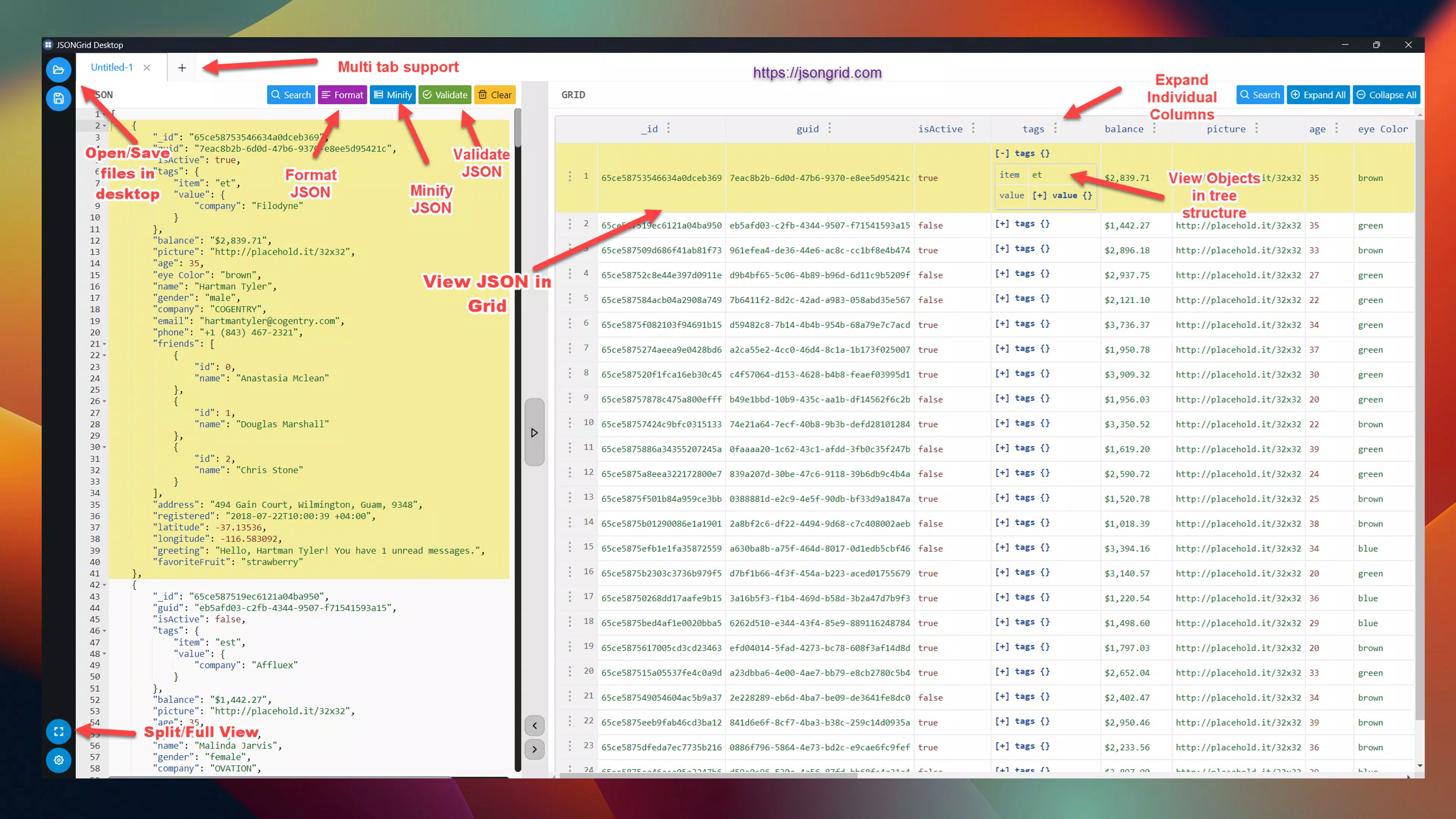 Main image for JSONGrid Desktop application