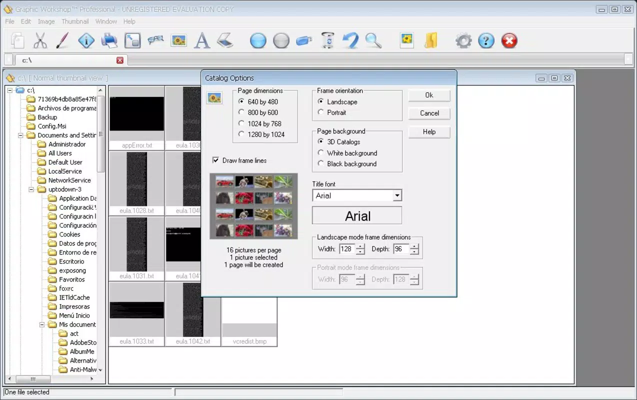Graphic Workshop Professional