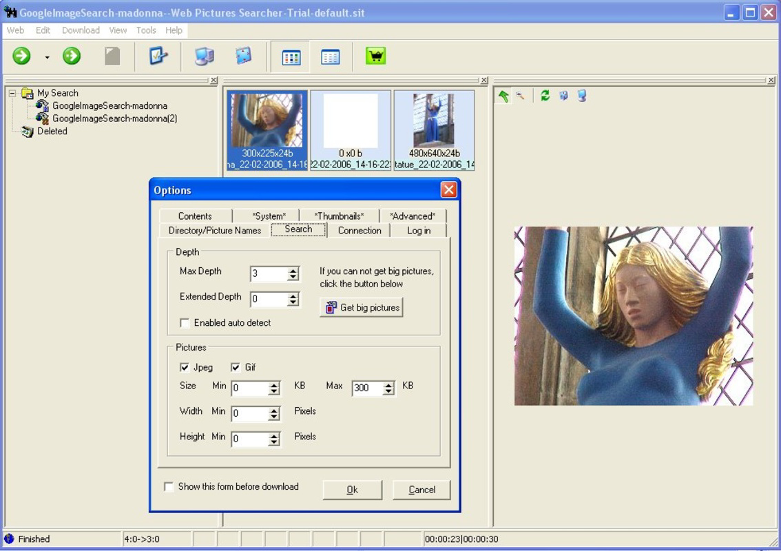 Web Pictures Searcher