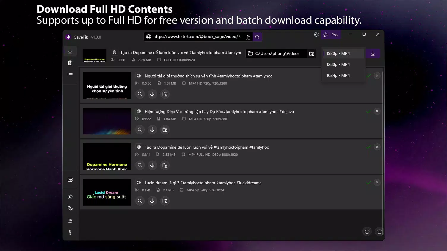 SaveTik - Video Downloader