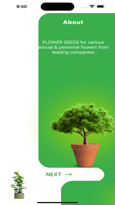 VDP Seeds poster