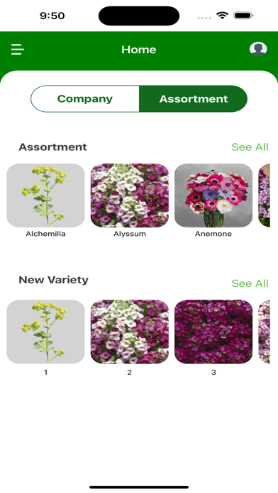 VDP Seeds poster