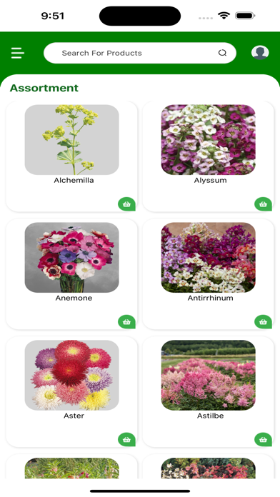 VDP Seeds poster
