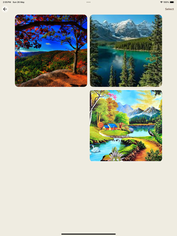 Rusticgram poster