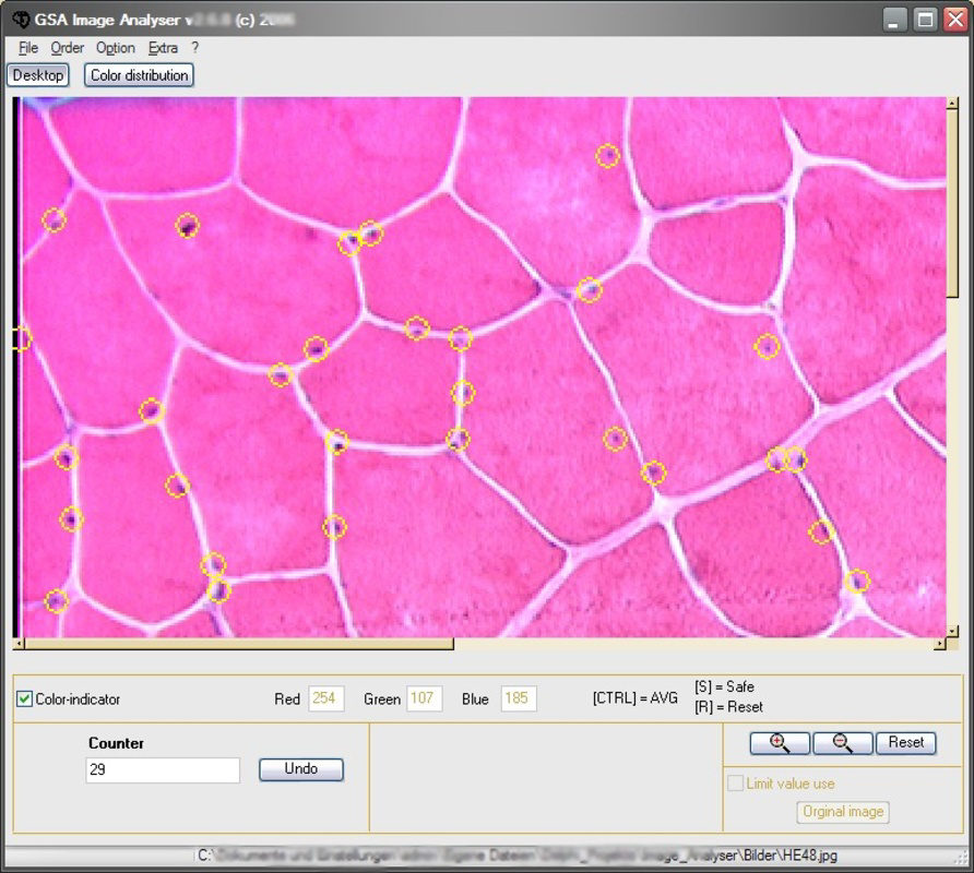 GSA Image Analyser