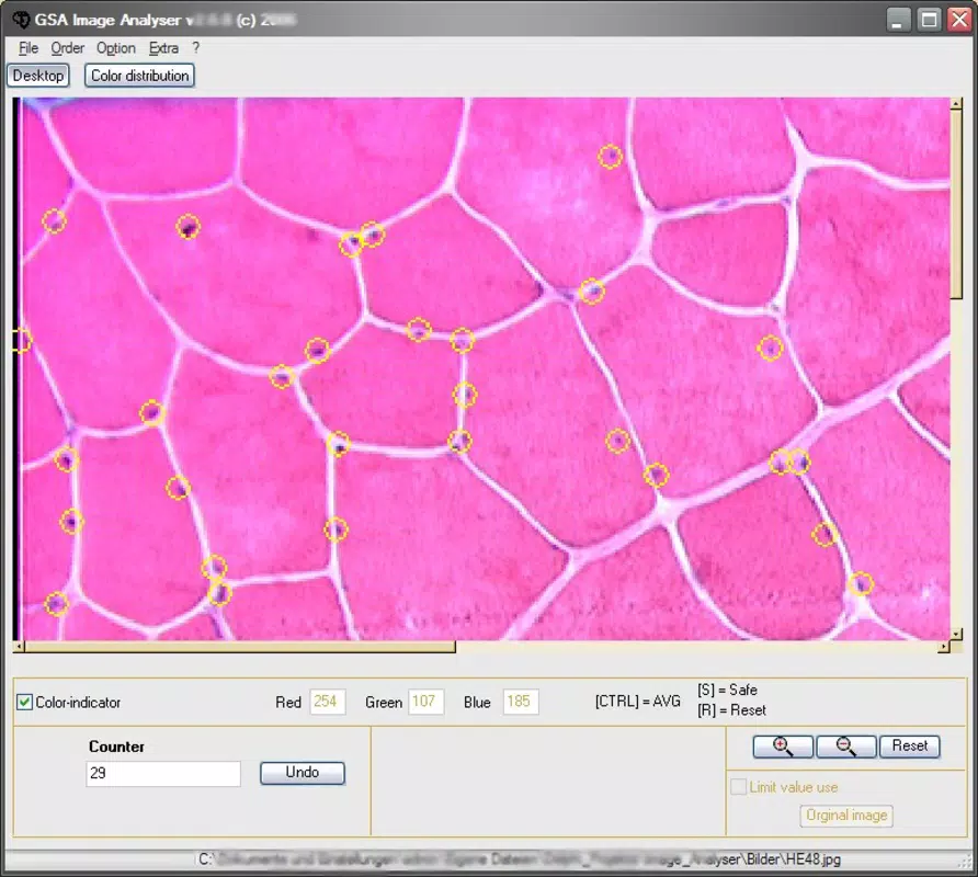Main image for GSA Image Analyser application