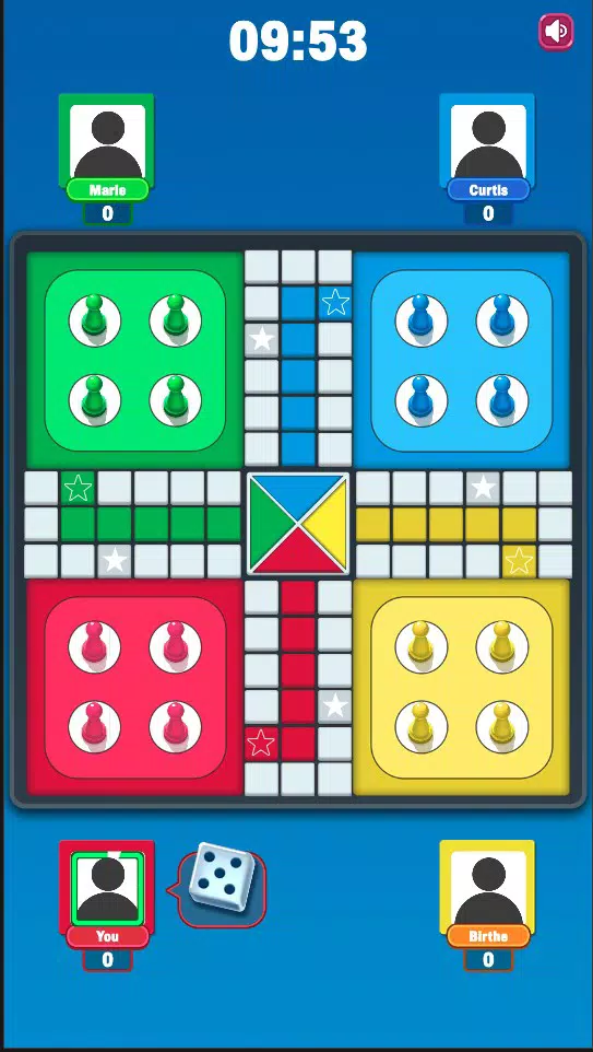 Ludo Play