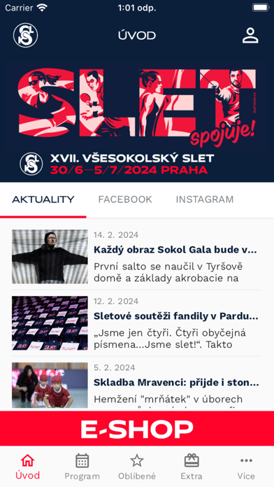 Sokol Plakat