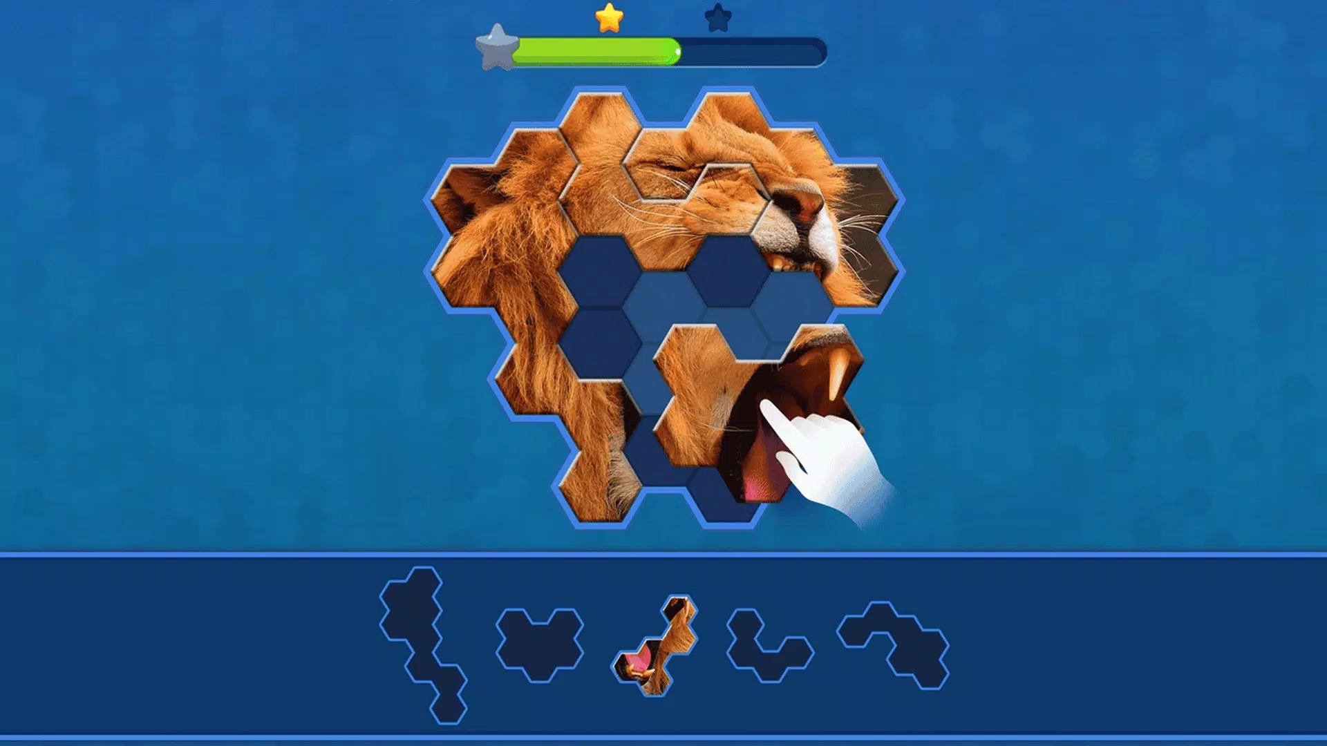 Jigsaw Hexa Puzzle
