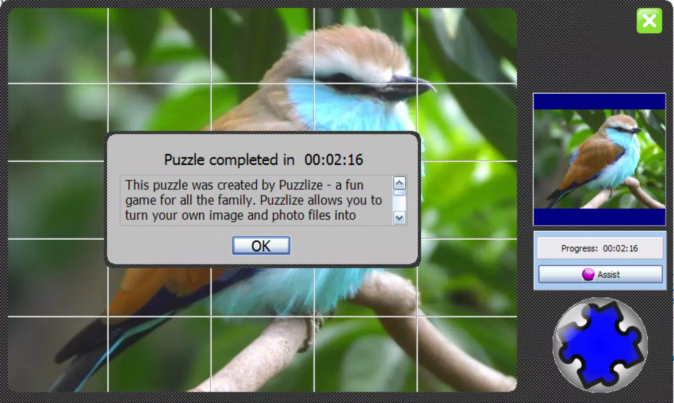 Puzzlize