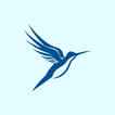 SofiaIQ: Flutter and Dart Code