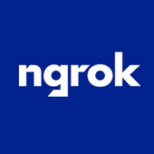 ngrok icon
