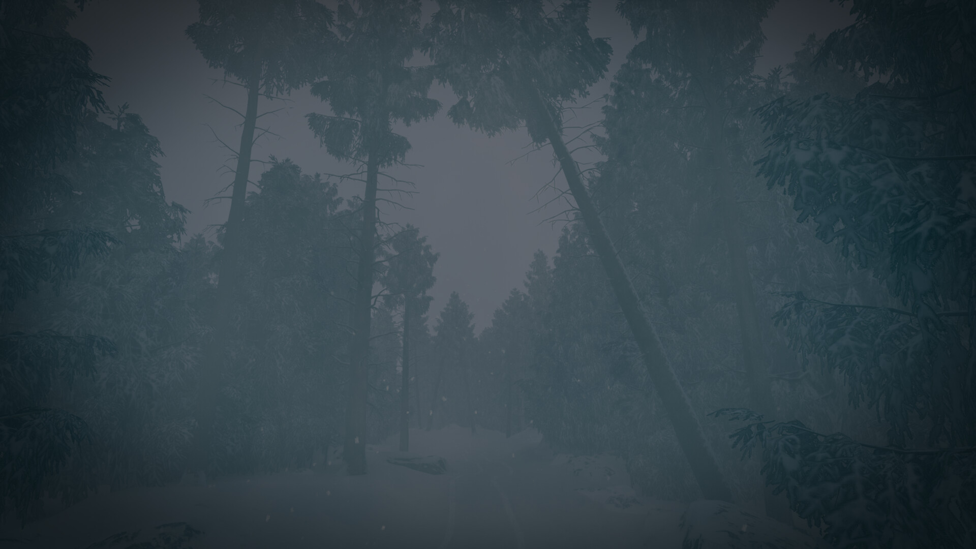 The Last Ski Trip