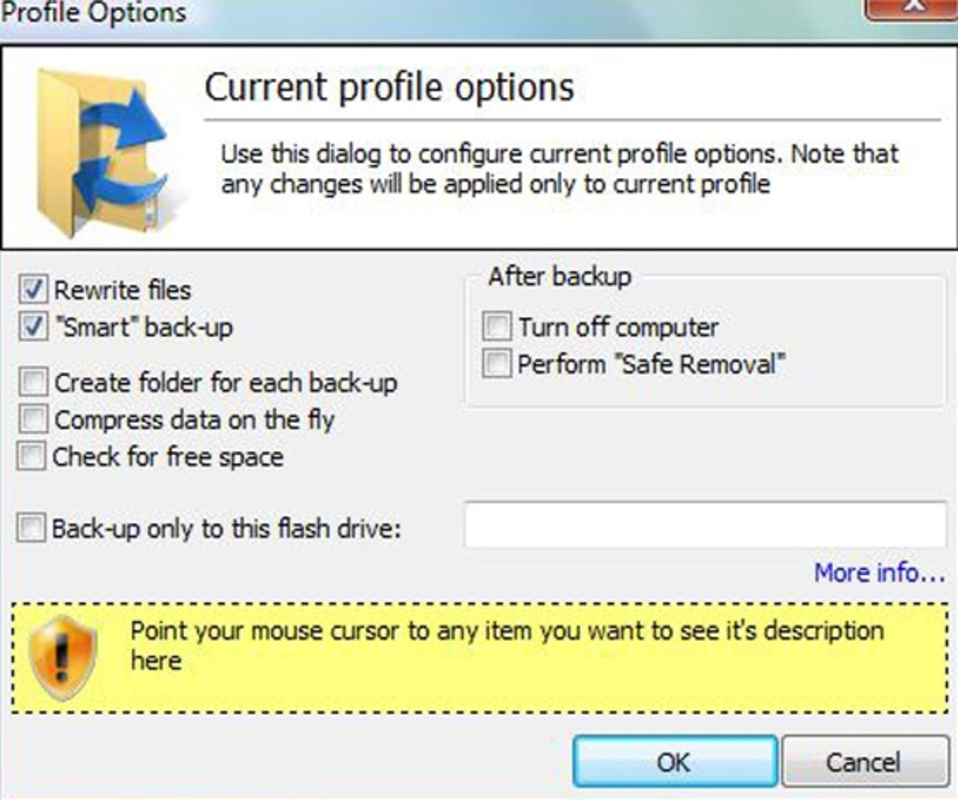 USB Flash Backup