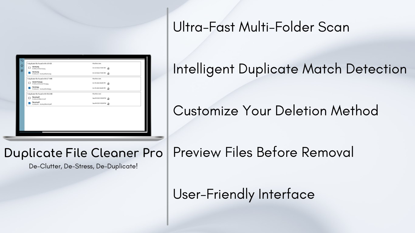 Duplicate File Cleaner Pro