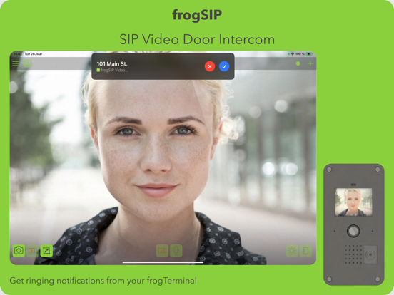 frogSIP poster