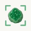 Crystal & Rock identifier AI