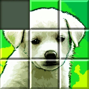 Grid Puzzles