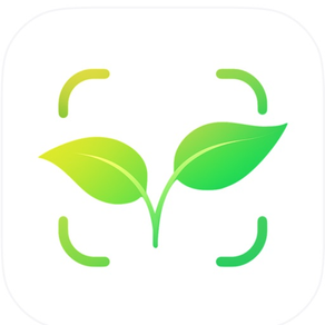 Planter: Tree Logging