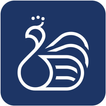 IpStudyHub