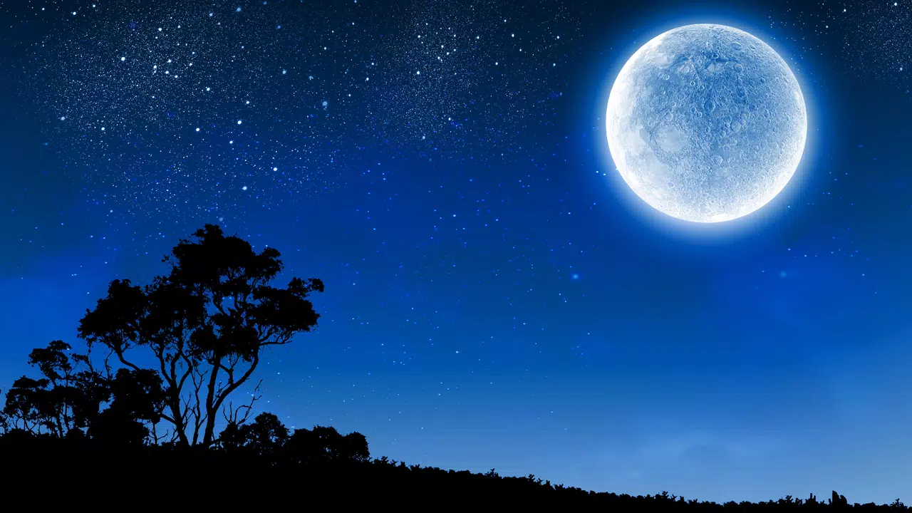 TheMysticStaff