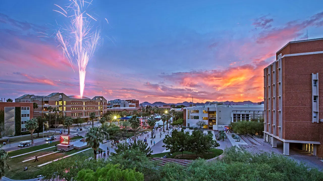 The University of Arizona