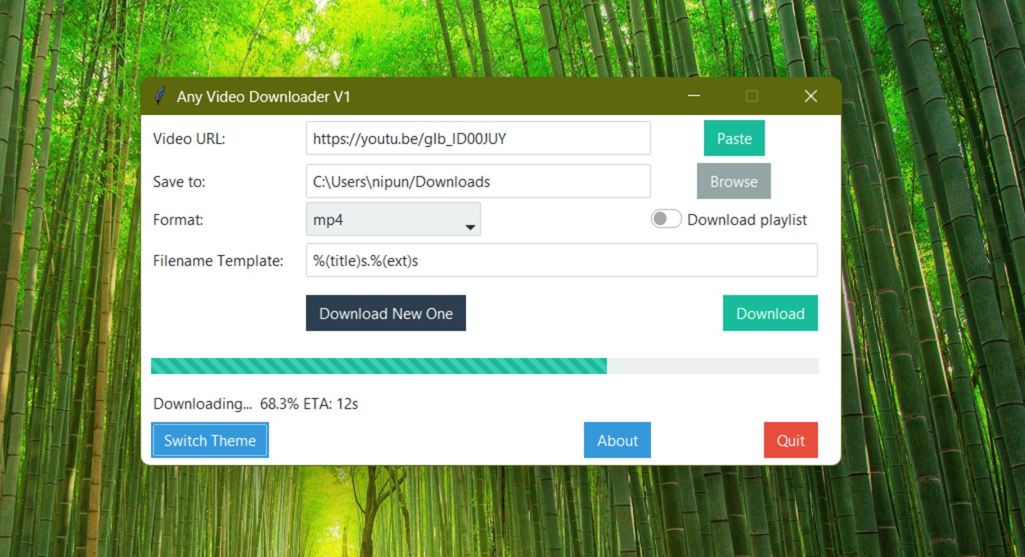 Download Any Video Downloader Latest 1.0.2 for Windows PC