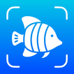 Fish Identifier – Fishium