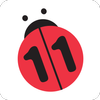 n11 icon