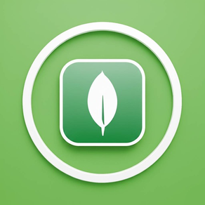 Learn MongoDB Tutorials