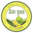 Chhun Kang Durian
