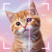 Cat Identifier AI Scanner