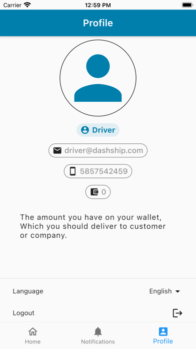 Dashship Driver poster