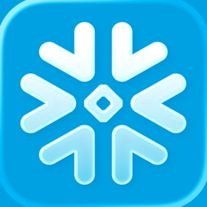 Snowflake CoWork
