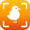 Birder: Bird identifier