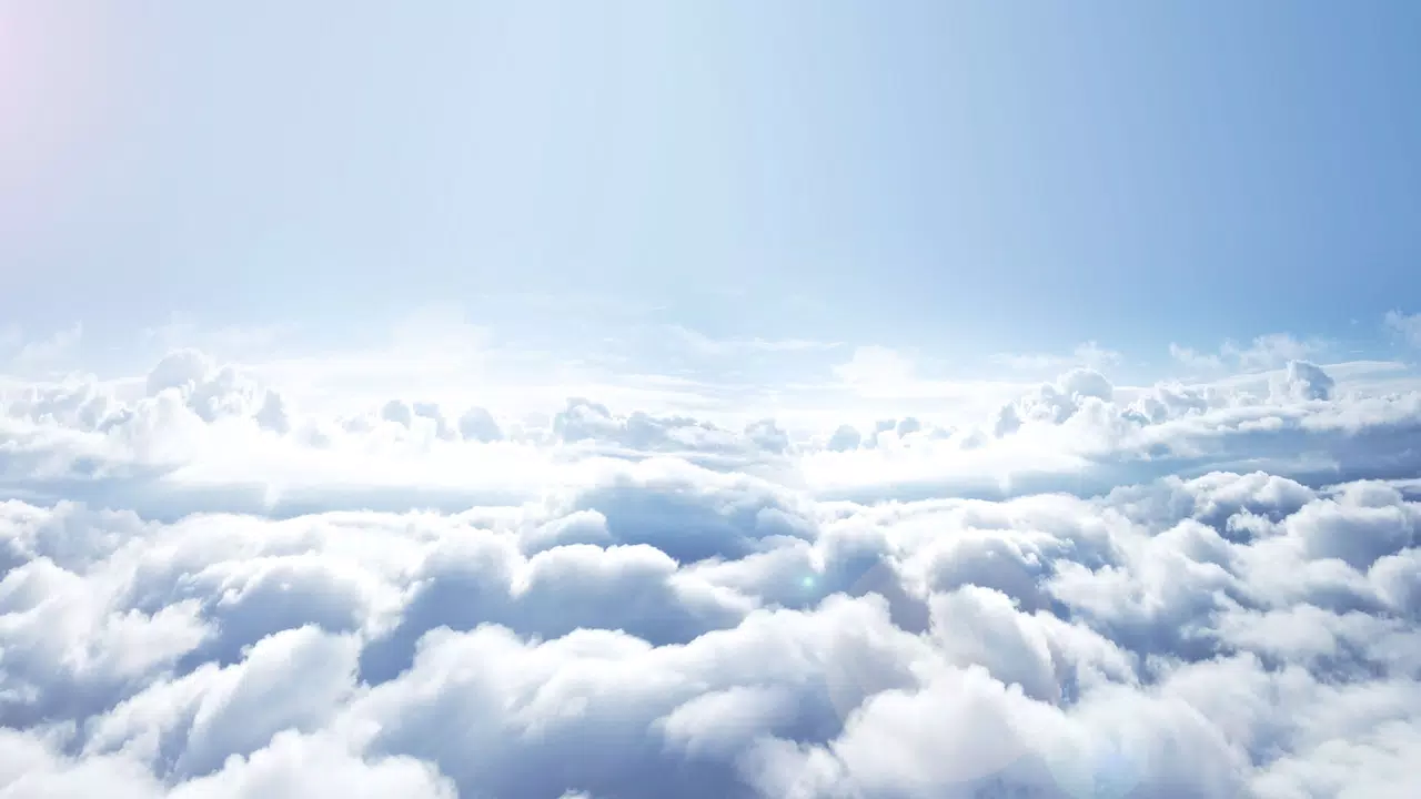 Dream Code