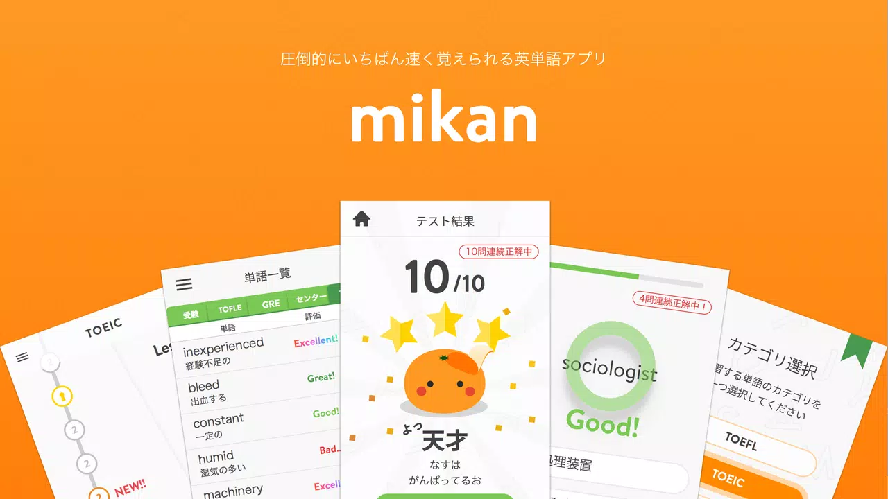 mikan Co., Ltd.