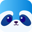 RaccoonX