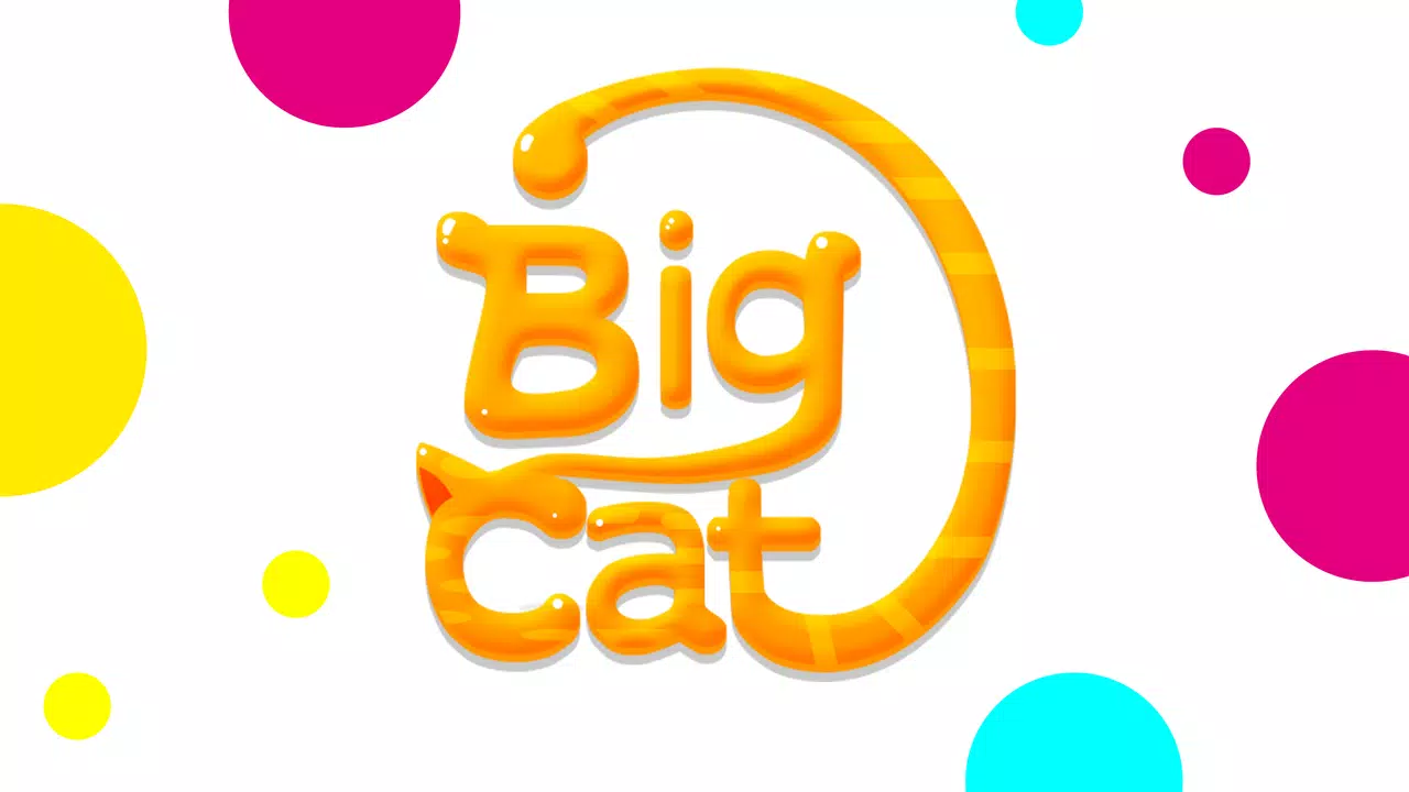 Big Cat Studio - we make brain games