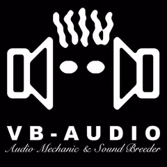 Vincent Burel (VB-Audio)